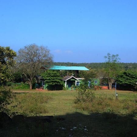 Aarraams Farms & Resorts Masinagudi Luaran gambar