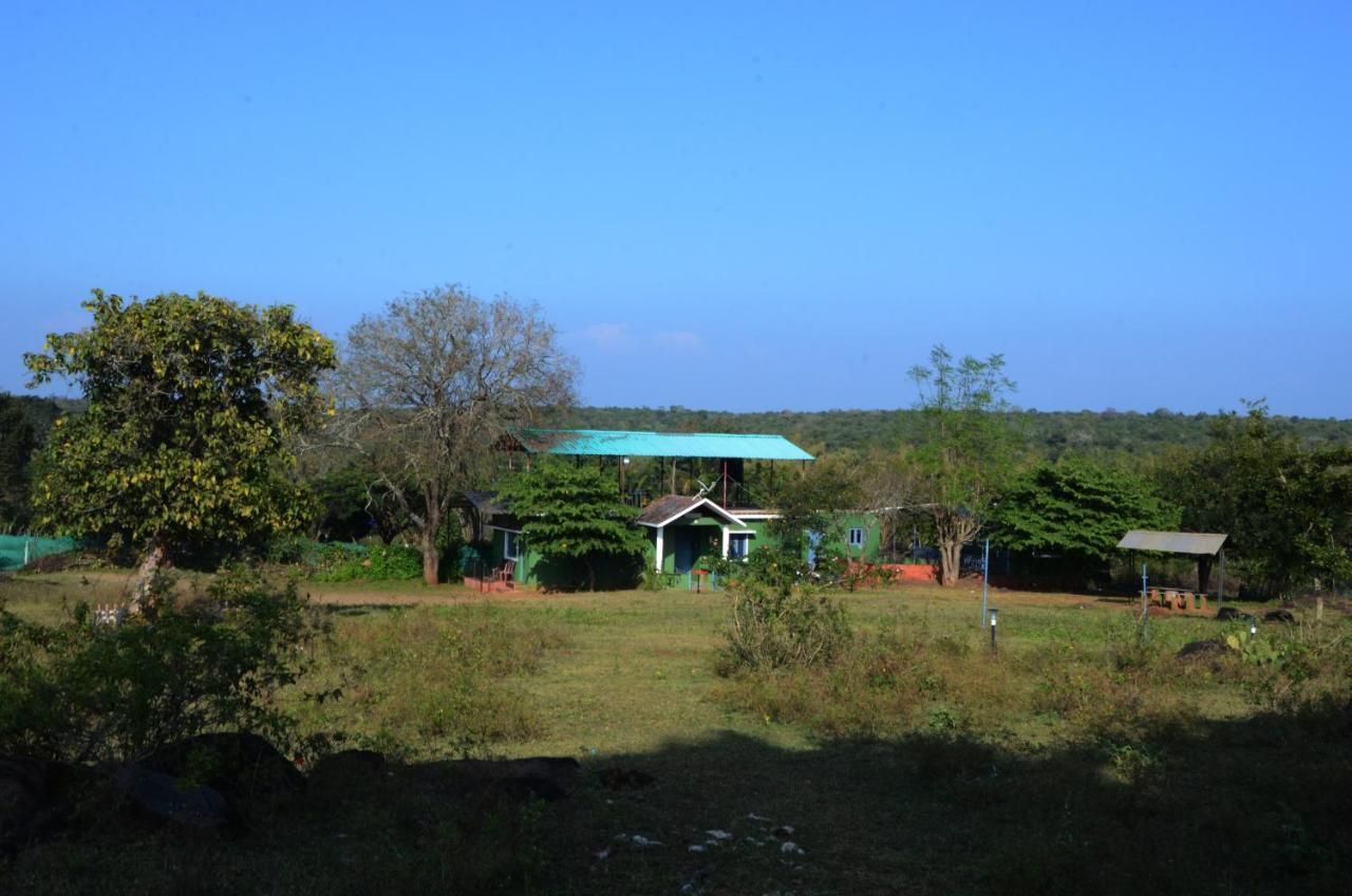 Aarraams Farms & Resorts Masinagudi Luaran gambar